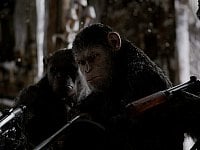"כוכב הקופים: מלחמה": קופים ויורים